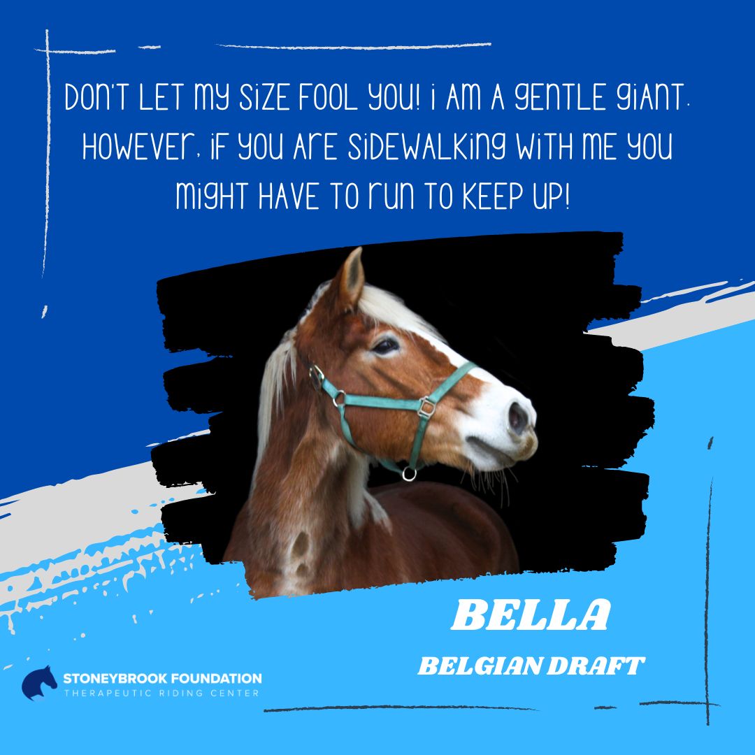 Bella_website