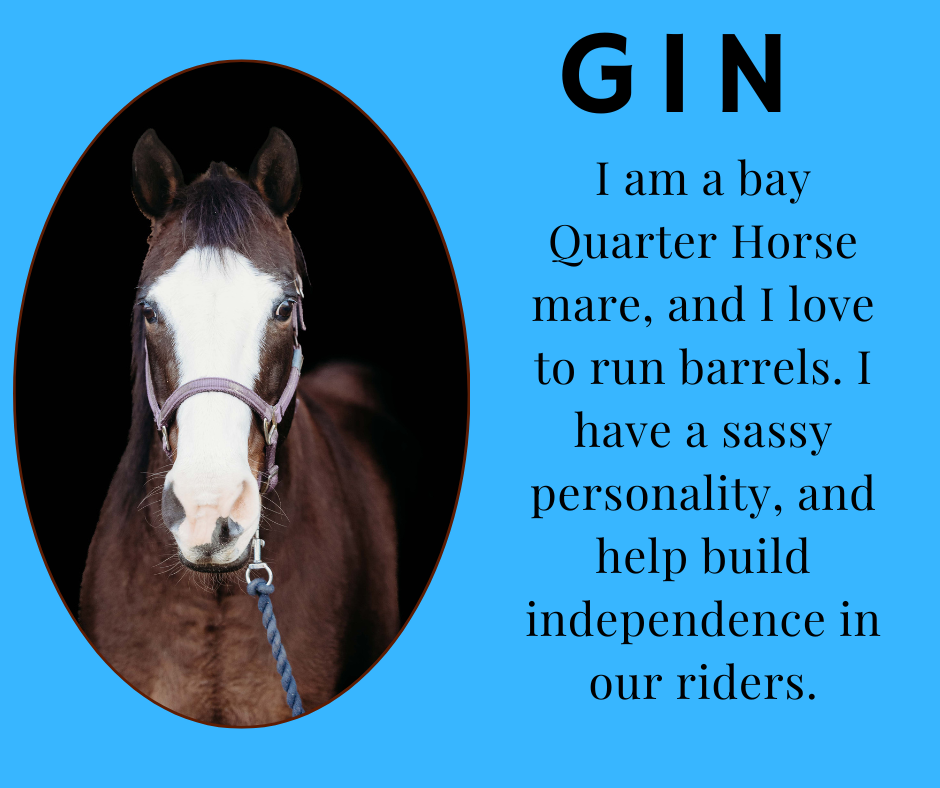 Gin