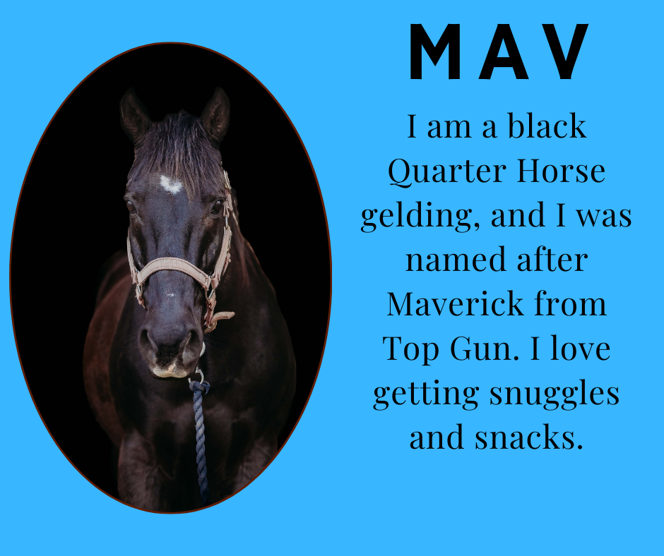 Mav