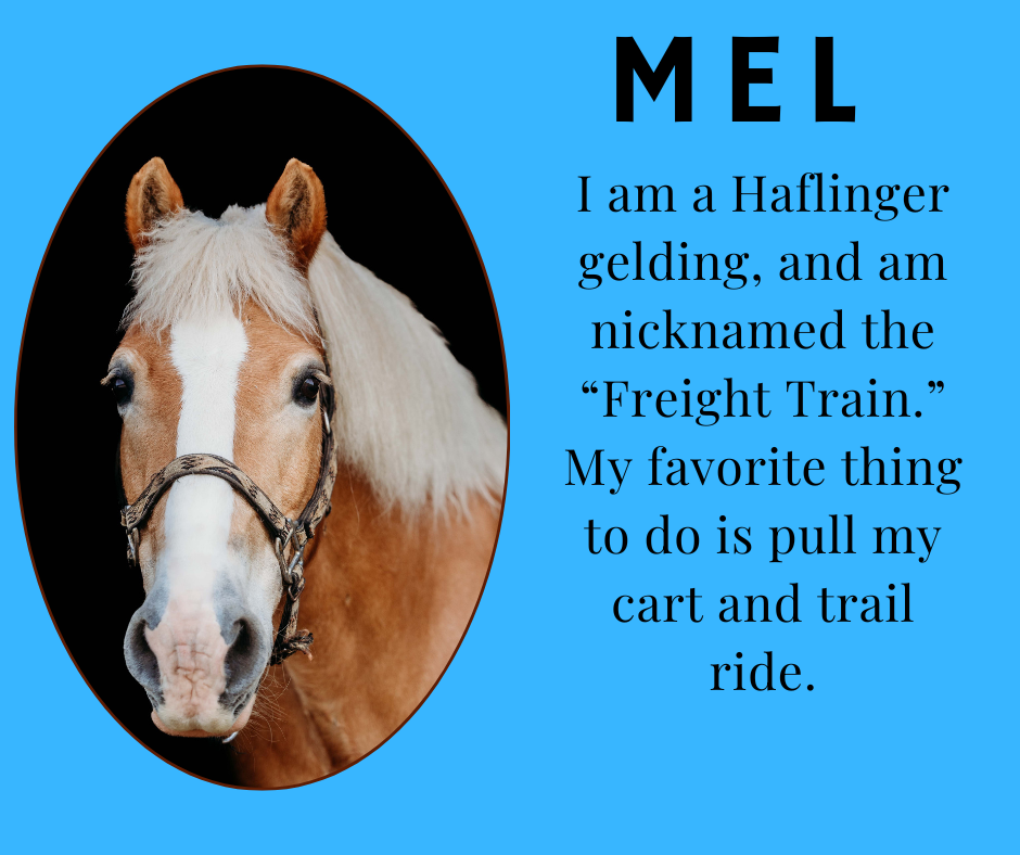 Mel
