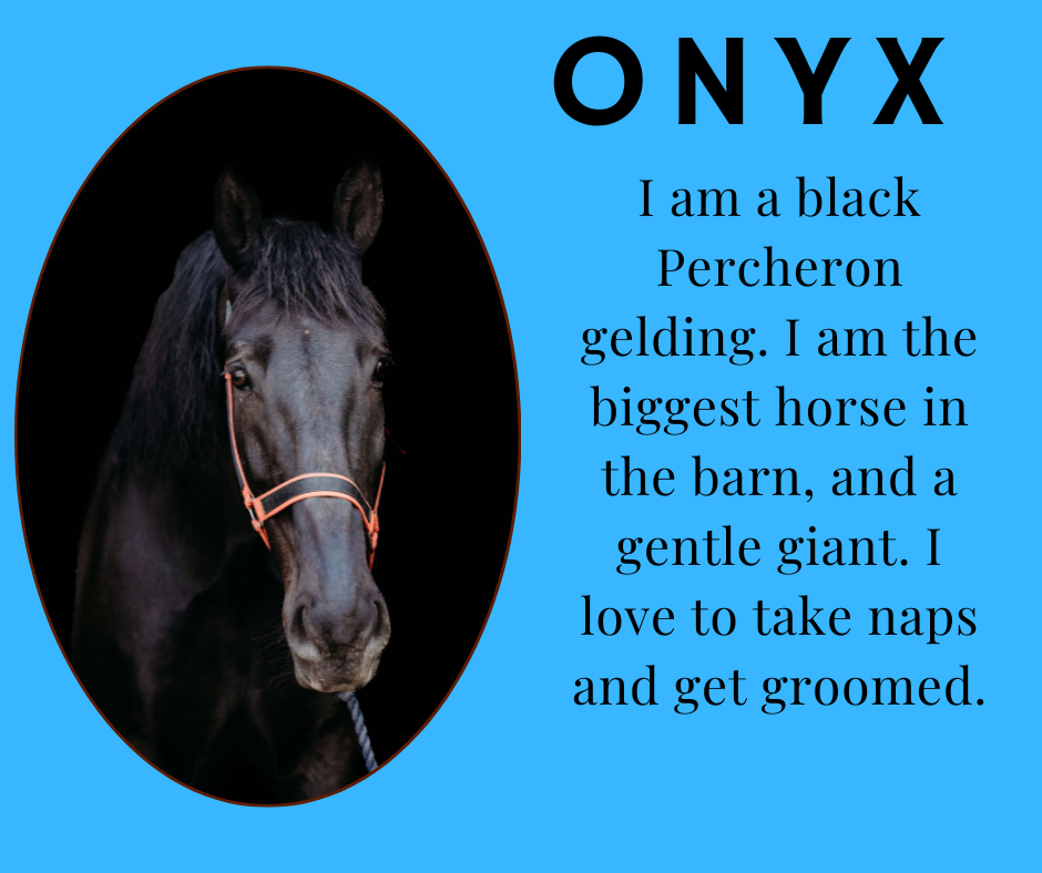 Onyx