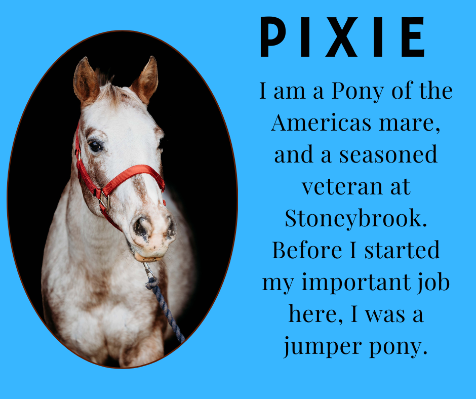 Pixie
