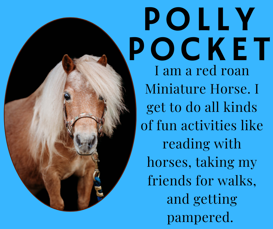 Polly Pocket