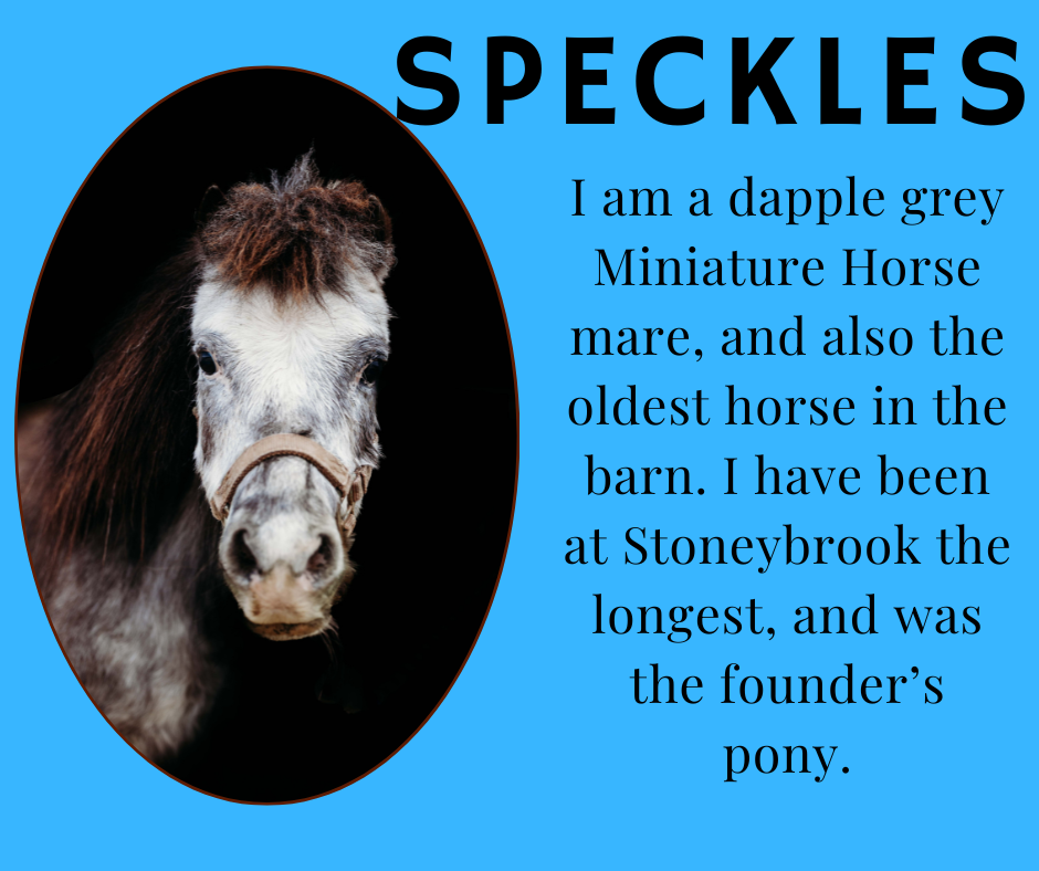 Speckles
